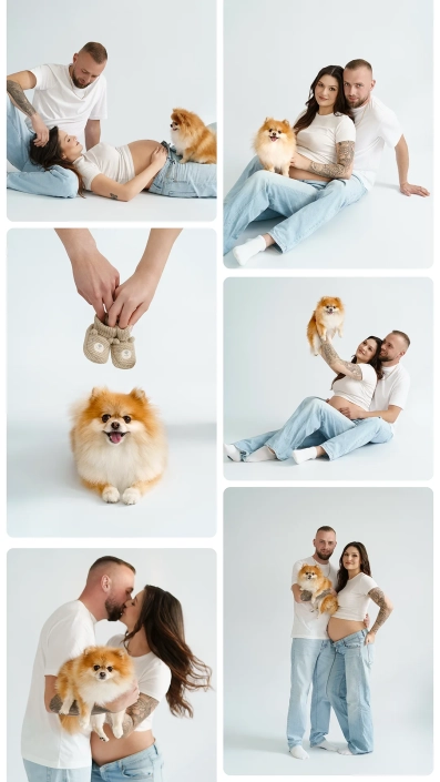 Babybauchfotografie-hamburg-tageslicht-natuerlich Paarshooting, Babybauchfotografie im Tageslichstudio mit Hund in Hamburg