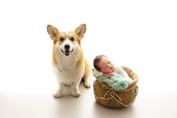 ein Neugeborener Junge mit seinem Haustier Hund bei seinem ersten Neugeborenenfotoshooting